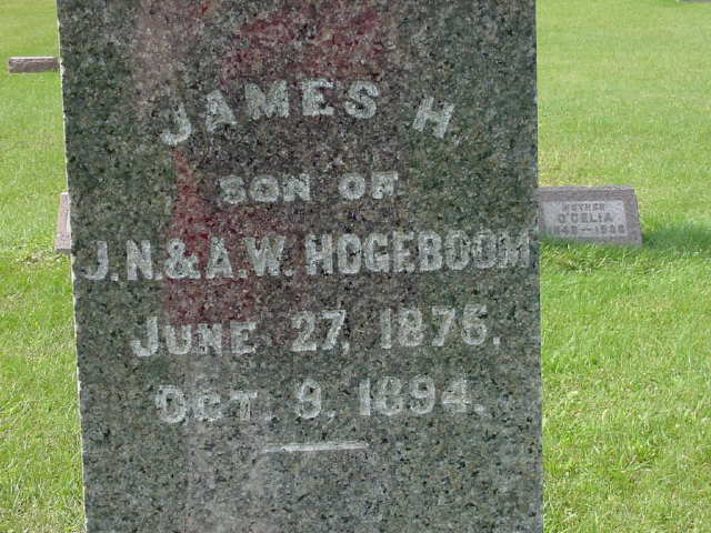 James H Hogegoom